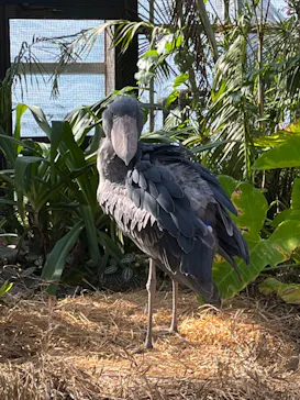 神戸どうぶつ王国に投稿された画像（2022/11/7）