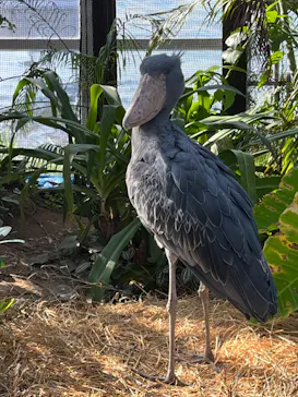 神戸どうぶつ王国に投稿された画像（2022/11/7）