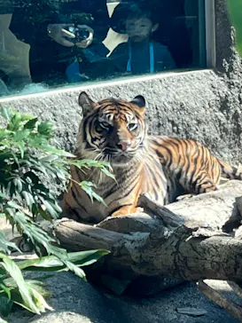 神戸どうぶつ王国に投稿された画像（2022/11/7）