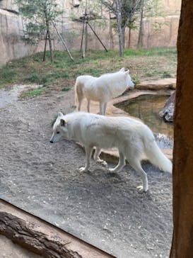 那須どうぶつ王国に投稿された画像（2022/11/7）