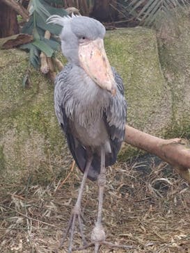 那須どうぶつ王国に投稿された画像（2022/11/7）