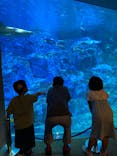 大分マリーンパレス水族館 「うみたまご」に投稿された画像（2022/11/7）