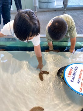 大分マリーンパレス水族館 「うみたまご」に投稿された画像（2022/11/7）