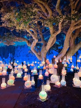 江の島シーキャンドルに投稿された画像（2022/11/7）