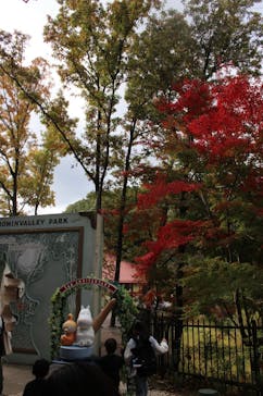 ムーミンバレーパークに投稿された画像（2022/11/7）