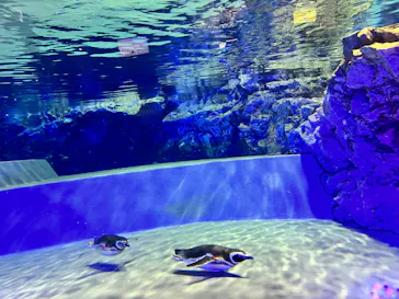 すみだ水族館に投稿された画像（2022/11/7）