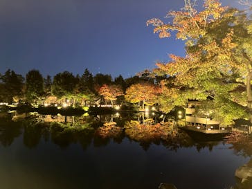 国営昭和記念公園 秋の夜散歩に投稿された画像（2022/11/7）