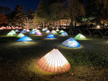 国営昭和記念公園 秋の夜散歩に投稿された画像（2022/11/7）