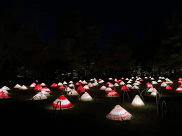 国営昭和記念公園 秋の夜散歩に投稿された画像（2022/11/7）