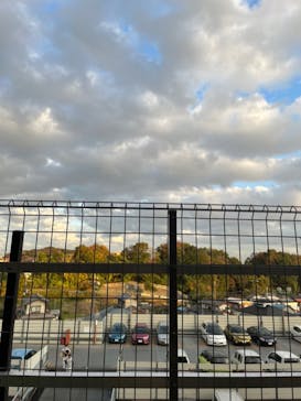 天然温泉 ロテン・ガーデンに投稿された画像（2022/11/7）