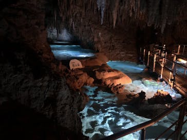 おきなわワールドに投稿された画像（2022/11/7）