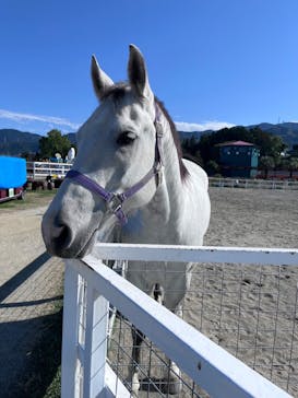 ワールド牧場に投稿された画像（2022/11/7）