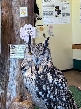 ワールド牧場に投稿された画像（2022/11/7）