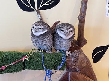 ワールド牧場に投稿された画像（2022/11/7）