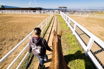 ワールド牧場に投稿された画像（2022/11/7）