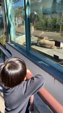 天王寺動物園に投稿された画像（2022/11/7）