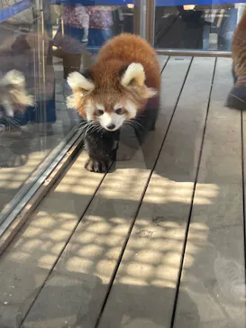 横浜・八景島シーパラダイスに投稿された画像（2022/11/7）