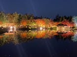 国営昭和記念公園 秋の夜散歩に投稿された画像（2022/11/7）
