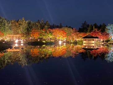 国営昭和記念公園 秋の夜散歩に投稿された画像（2022/11/7）