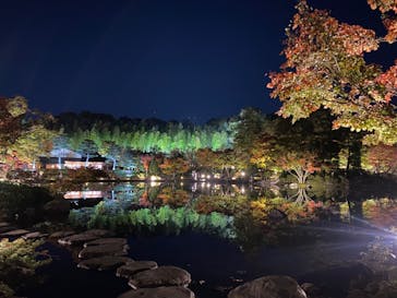 国営昭和記念公園 秋の夜散歩に投稿された画像（2022/11/7）