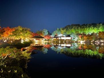 国営昭和記念公園 秋の夜散歩に投稿された画像（2022/11/7）