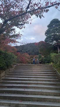 京阪電車に投稿された画像（2022/11/7）