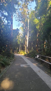 京阪電車に投稿された画像（2022/11/7）