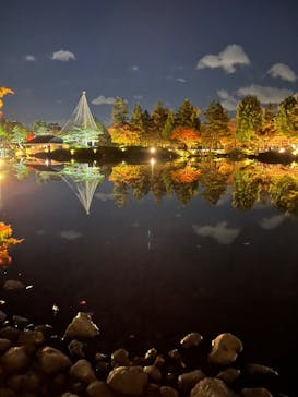 国営昭和記念公園 秋の夜散歩に投稿された画像（2022/11/7）