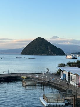 伊豆・三津シーパラダイスに投稿された画像（2022/11/7）