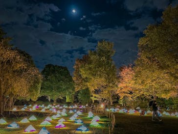 国営昭和記念公園 秋の夜散歩に投稿された画像（2022/11/7）