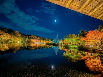 国営昭和記念公園 秋の夜散歩に投稿された画像（2022/11/7）