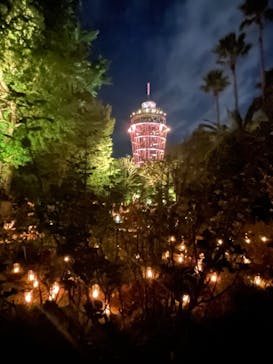 江の島シーキャンドルに投稿された画像（2022/11/7）