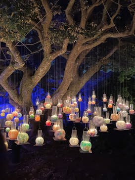 江の島シーキャンドルに投稿された画像（2022/11/7）