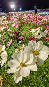 東武動物公園に投稿された画像（2022/11/7）