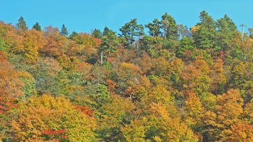 びわ湖バレイに投稿された画像（2022/11/7）