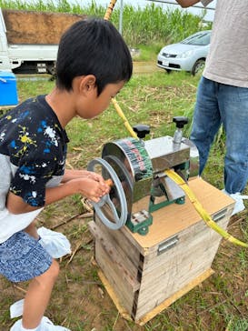 オルタナティブファーム宮古に投稿された画像（2022/11/7）