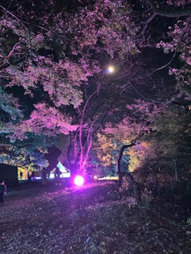 ムーミンバレーパークに投稿された画像（2022/11/8）