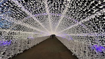 東京メガイルミに投稿された画像（2022/11/8）