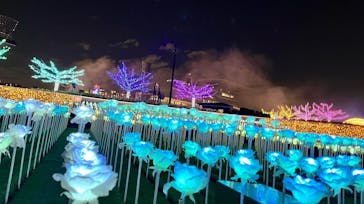 東京メガイルミに投稿された画像（2022/11/8）