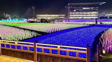 東京メガイルミに投稿された画像（2022/11/8）