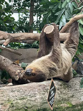 神戸どうぶつ王国に投稿された画像（2022/11/8）