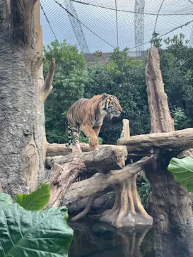 神戸どうぶつ王国に投稿された画像（2022/11/8）