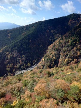 びわ湖バレイに投稿された画像（2022/11/8）