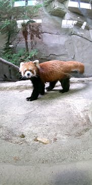 那須どうぶつ王国に投稿された画像（2022/11/8）