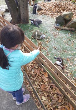 那須どうぶつ王国に投稿された画像（2022/11/8）