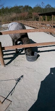 那須どうぶつ王国に投稿された画像（2022/11/8）