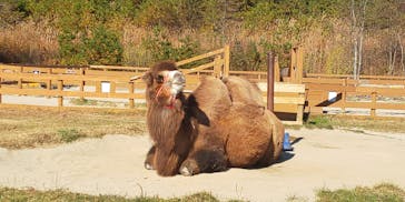 那須どうぶつ王国に投稿された画像（2022/11/8）