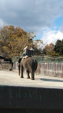 那須サファリパークに投稿された画像（2022/11/8）