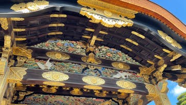 元離宮二条城に投稿された画像（2022/11/8）