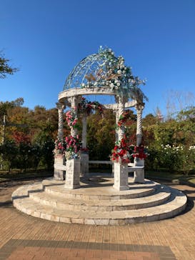 京成バラ園に投稿された画像（2022/11/8）